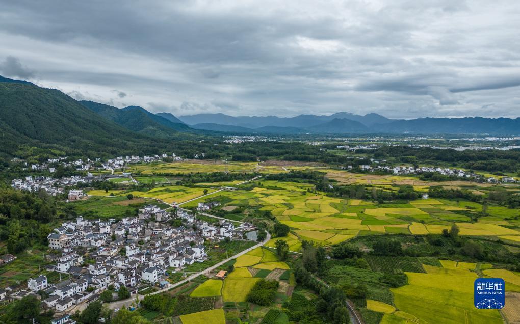 小马丽怎么登号